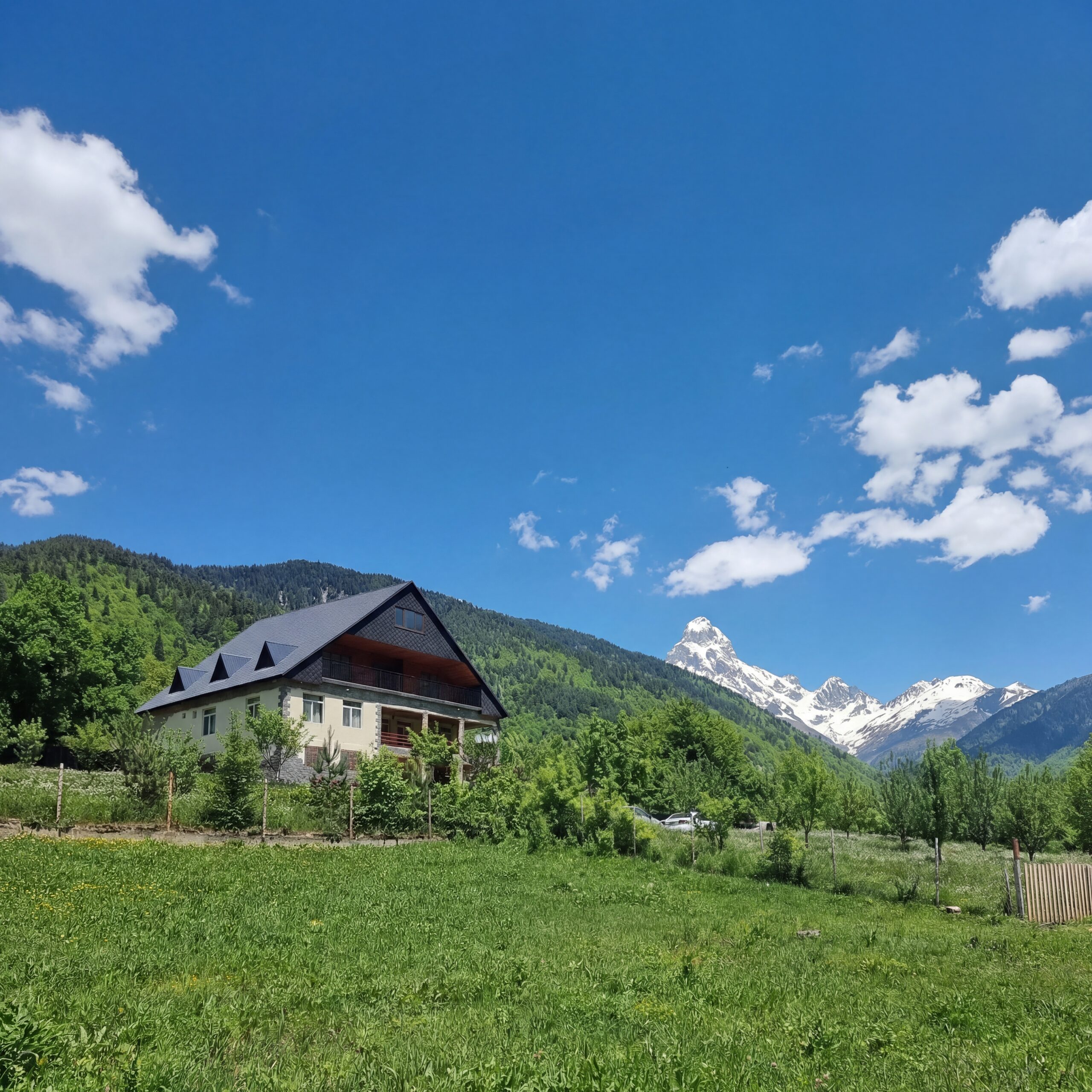 hf 20260224 104207 15f5f358 e3e9 4d2d 80bd 147acf954fc3 hf 20260224 104207 15f5f358 e3e9 4d2d 80bd 147acf954fc3